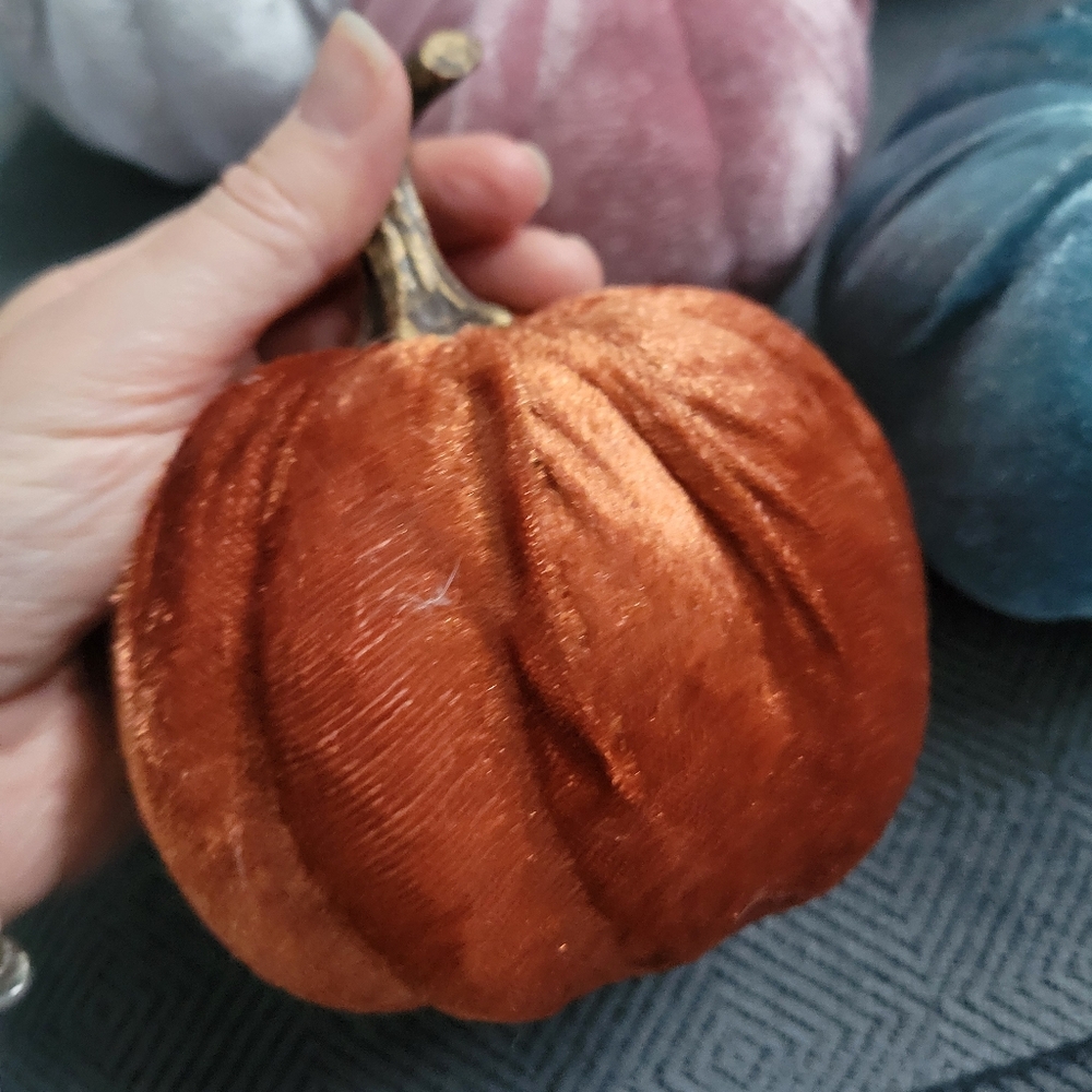 Set of 6 Dollar Tree Velvet Pumpkins - Picture 8 of 9